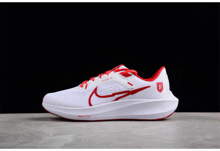 nike zoom  fj2844-100