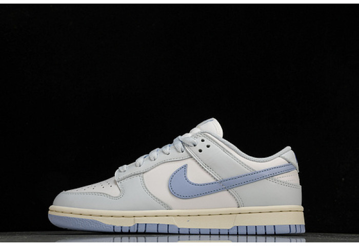 nike dunk low  dd1873-400
