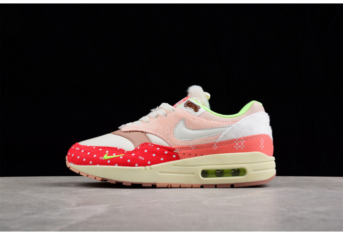 nike  air max 1 prm "best friend"  dr2553-111