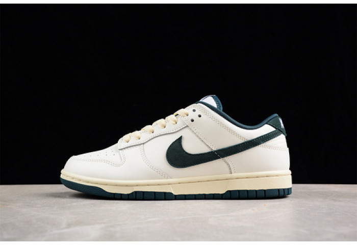 nike dunk low  fq8080-133