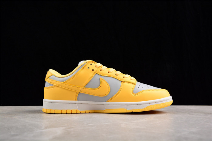 nike sb dunk low  dd1503-002