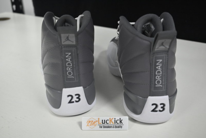 air jordan 12 stealth  ct8025-610