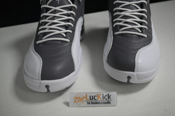 air jordan 12 stealth  ct8025-610