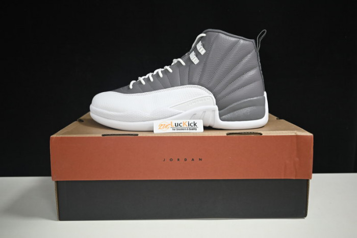 air jordan 12 stealth  ct8025-610