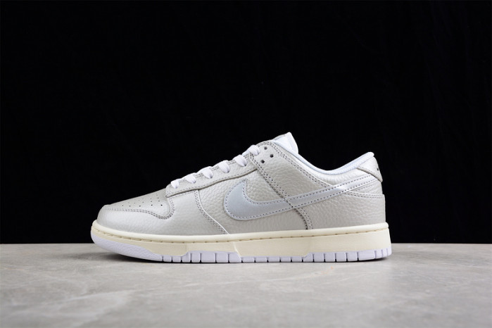 nike sb dunk low  dx3197-095