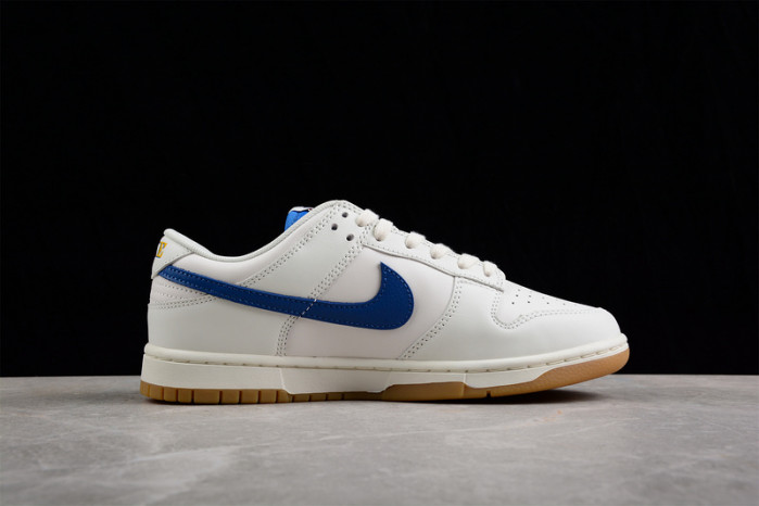 nike dunk low dx3198-133