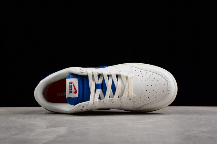 nike dunk low dx3198-133