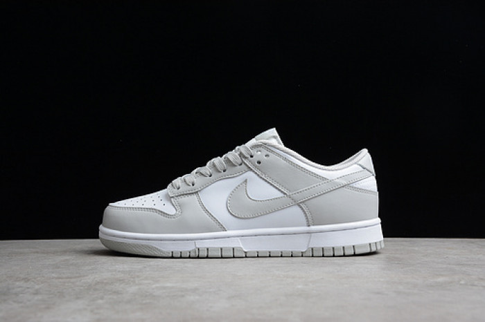 nike dunk low retro  dd1391-103