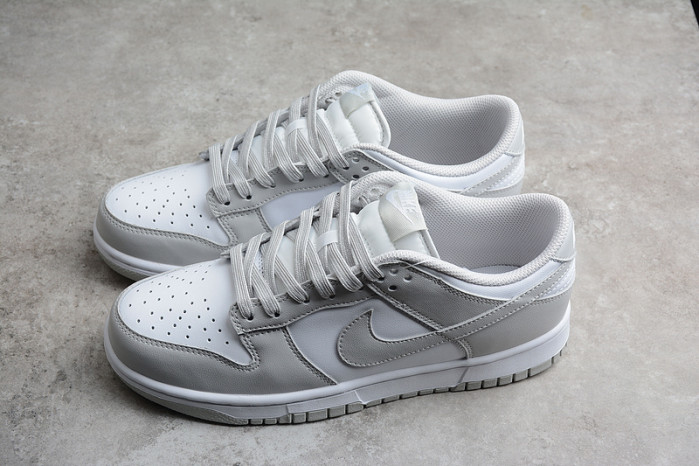 nike dunk low retro  dd1391-103