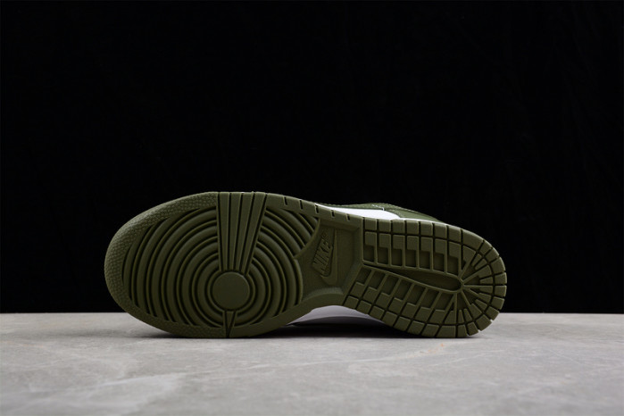 nike dunk low  dd1503-120