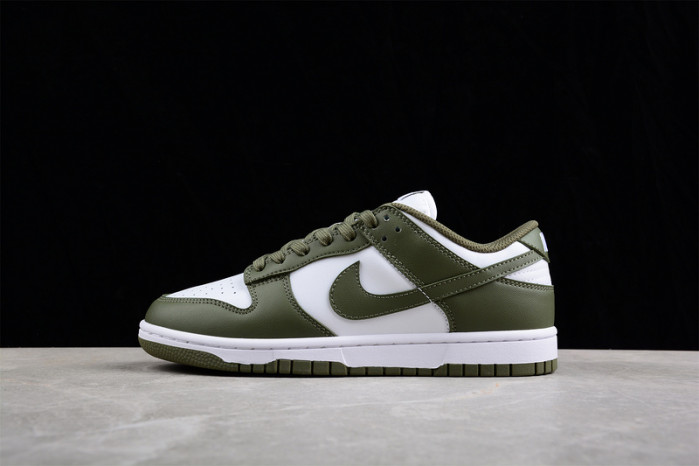 nike dunk low  dd1503-120