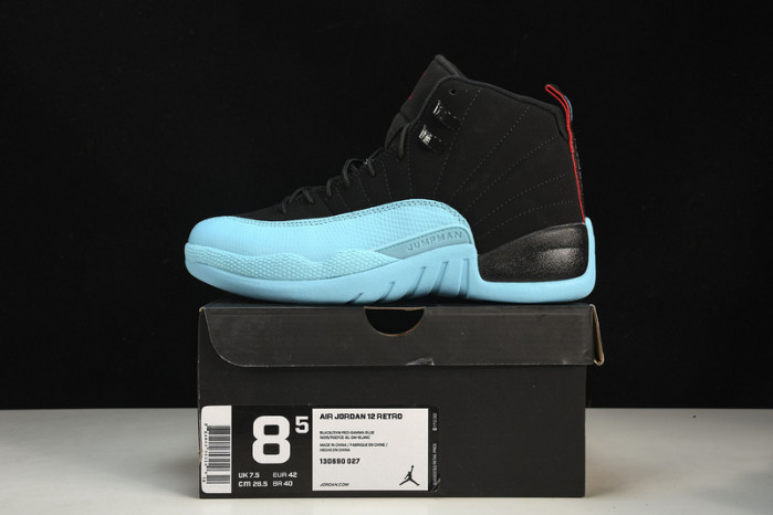 air jordan 12  130690-027