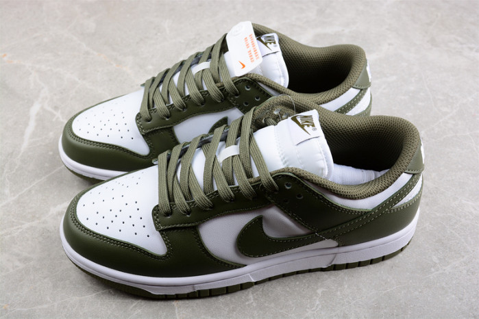 nike dunk low  dd1503-120