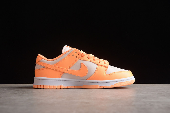 nike sb dunk low  dd1503-801