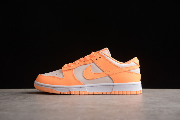 nike sb dunk low  dd1503-801