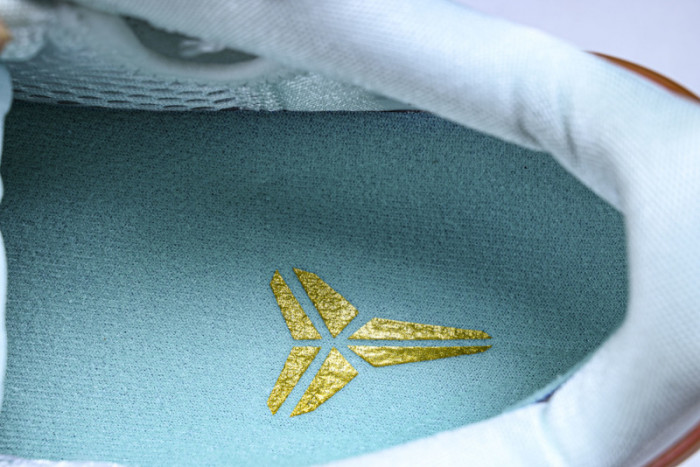 Nike Zoom Kobe 6 PE2025-109