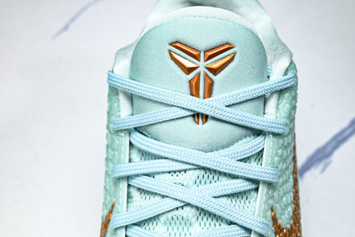Nike Zoom Kobe 6 PE2025-109
