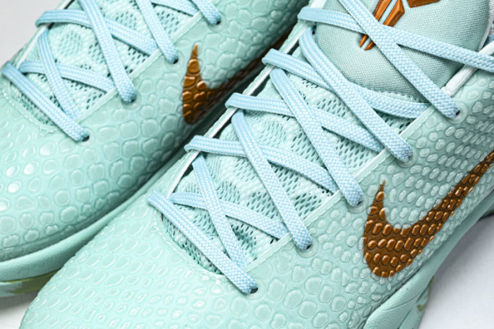 Nike Zoom Kobe 6 PE2025-109