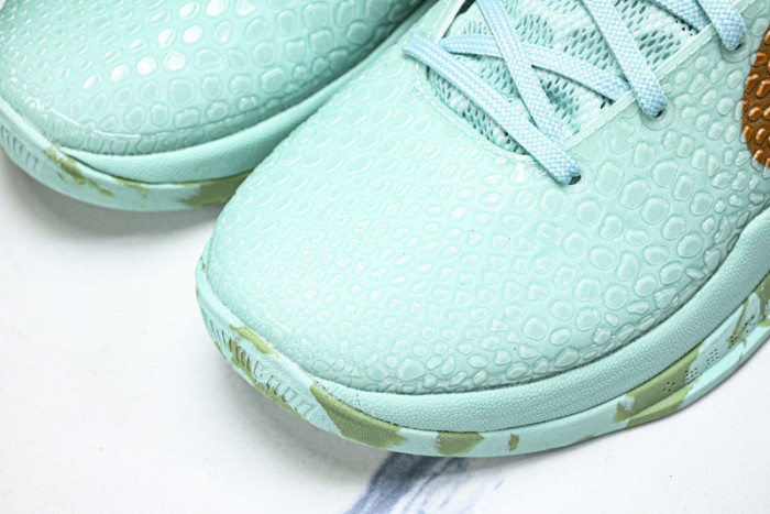 Nike Zoom Kobe 6 PE2025-109