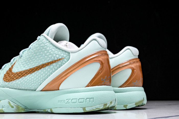 Nike Zoom Kobe 6 PE2025-109