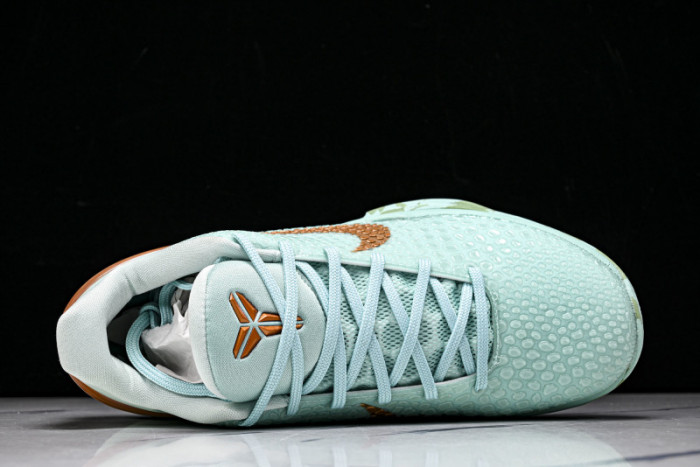 Nike Zoom Kobe 6 PE2025-109