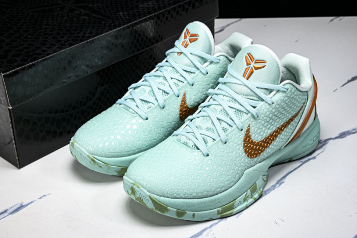 Nike Zoom Kobe 6 PE2025-109