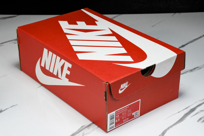 nike dunk low  fz3779-025