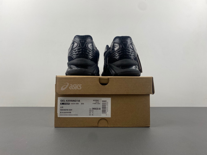 a.*sic*s g*el  1201a019-001