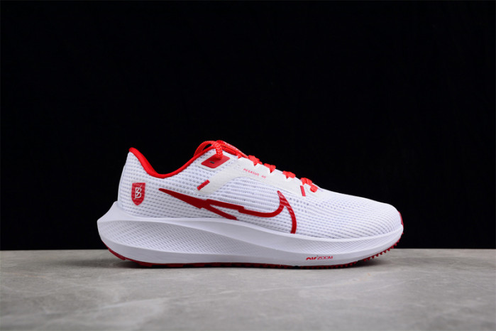 nike zoom  fj2844-100