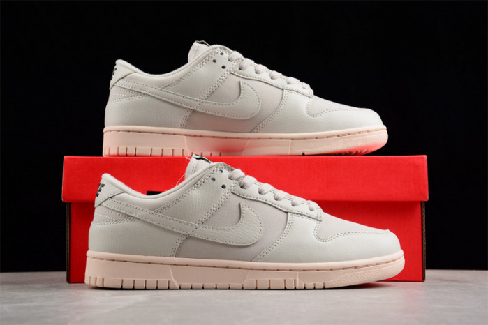 nike sb dunk low  dz2538-100