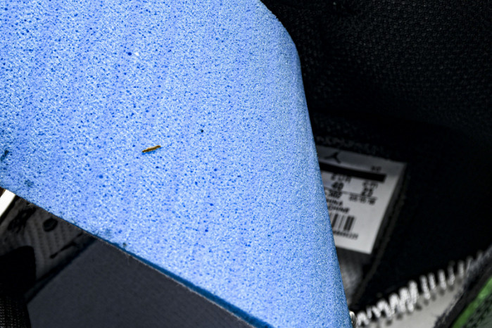 Air Jordan 1 Pine Green 555088-302