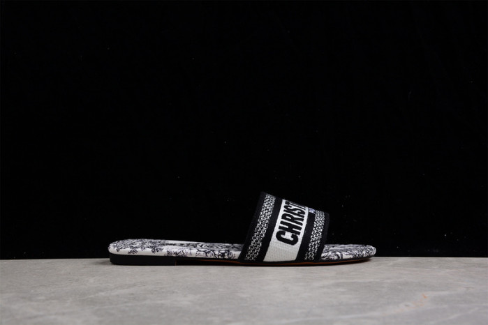 DIOR SLIDES DS-001