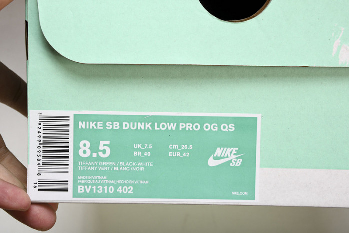 nike dunk low  bv1310-303