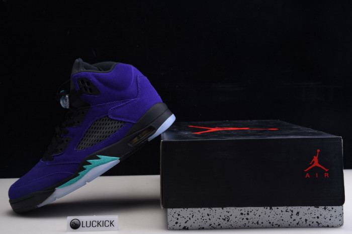 jordan 5 retro alternate grape 136027-500