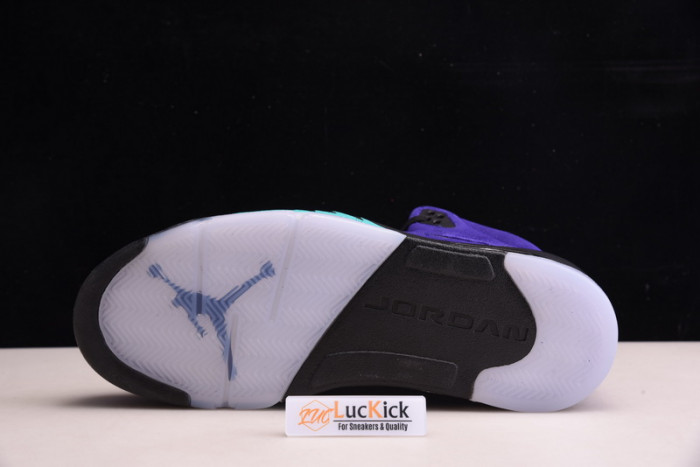 jordan 5 retro alternate grape 136027-500