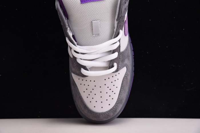 nike dunk sb low purple pigeon 304292-051