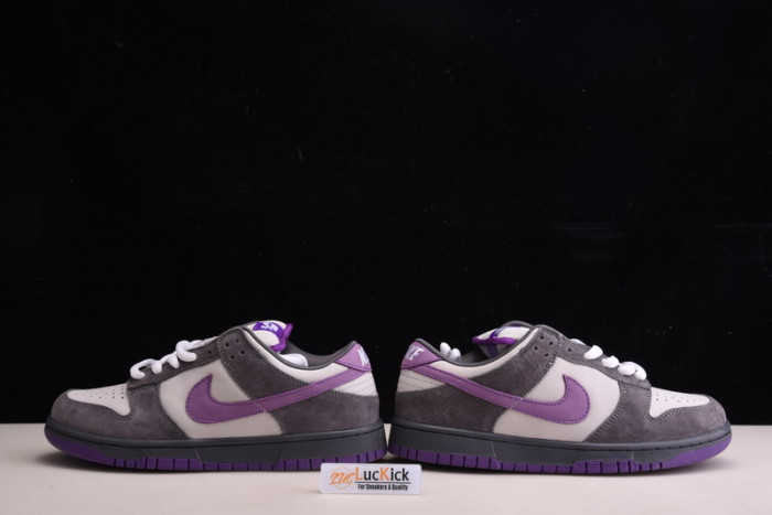 nike dunk sb low purple pigeon 304292-051