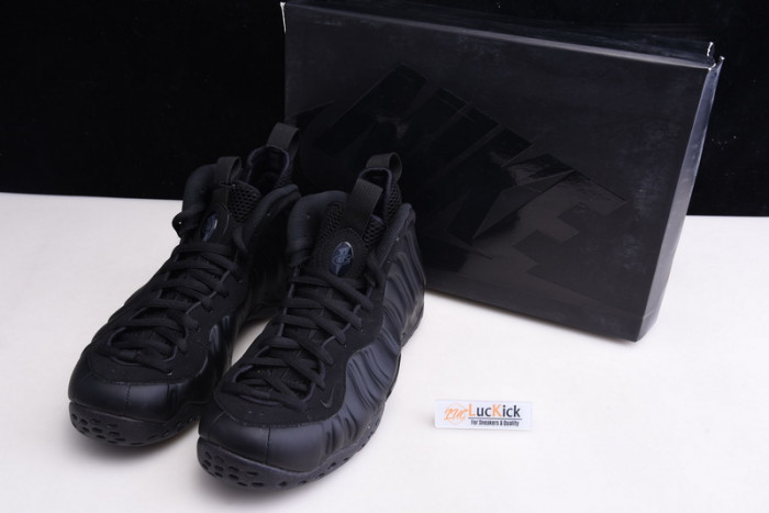 nike air foamposite one 314996-001