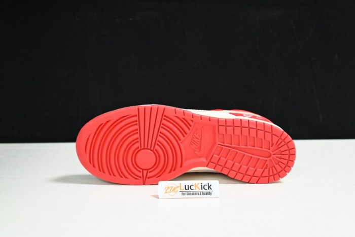 nk dunk sb low  dd1391-600