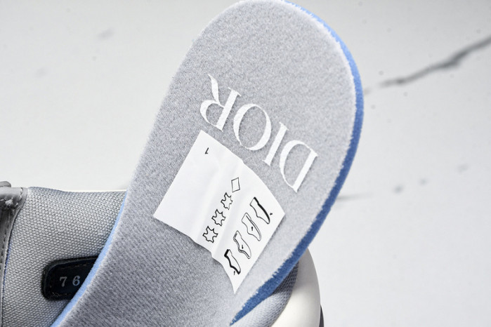 DIOR ×Air Jordan 1 High CN8607-002