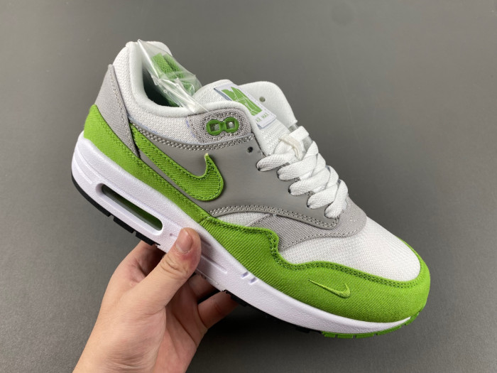 Nike Air Max 1 HF1012-300