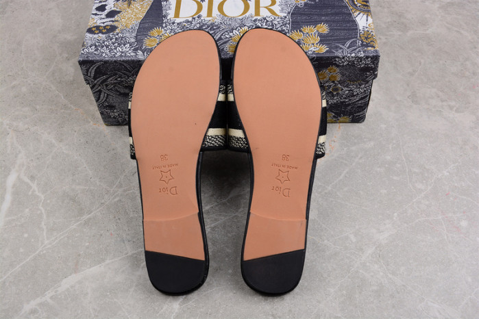 D*or slides ds-005