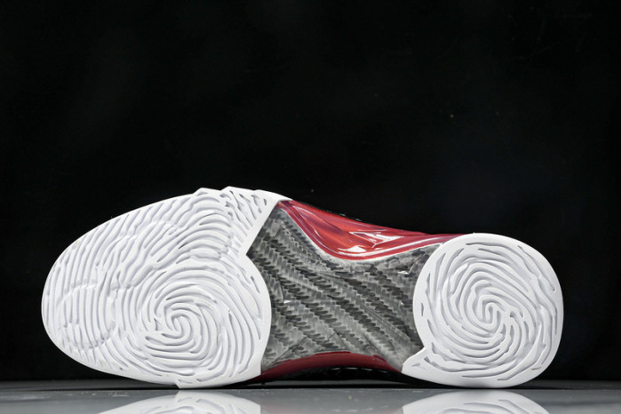 Titan x Air Jordan 23 318376-061