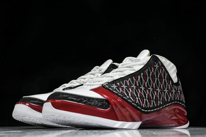 Titan x Air Jordan 23 318376-061