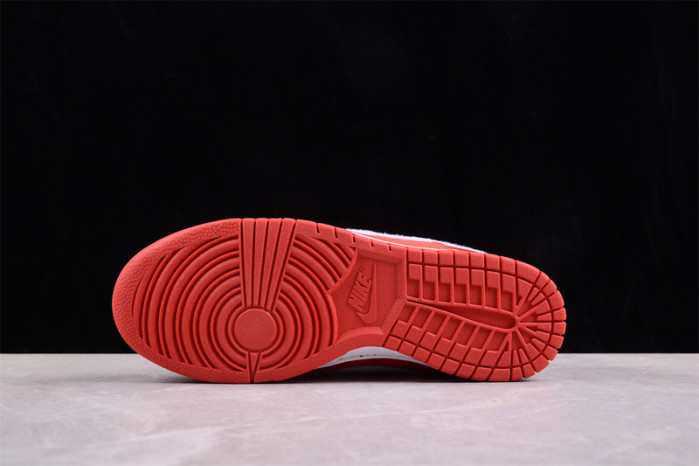 nike dunk low fz3548-612