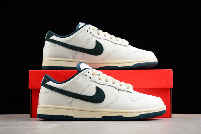 nike dunk low  fq8080-133