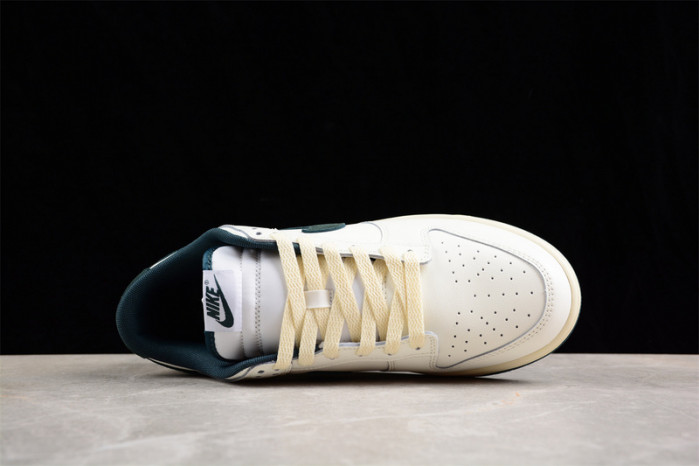 nike dunk low  fq8080-133