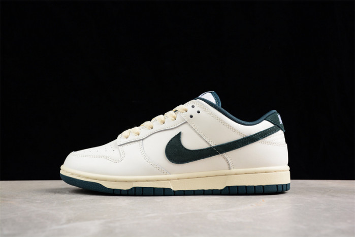 nike dunk low  fq8080-133