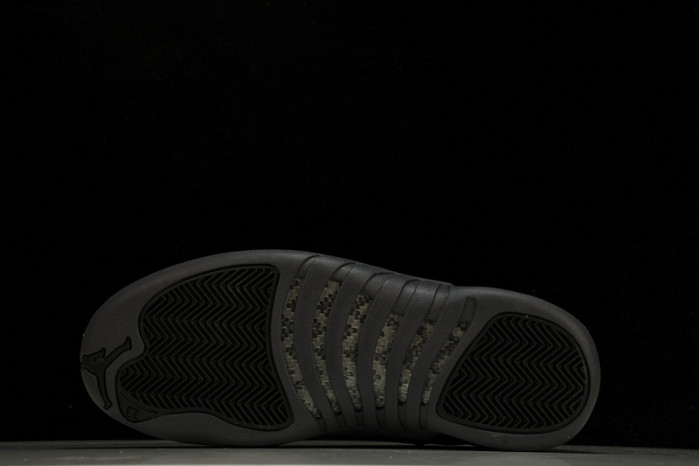 air jordan 12  ct8013-019