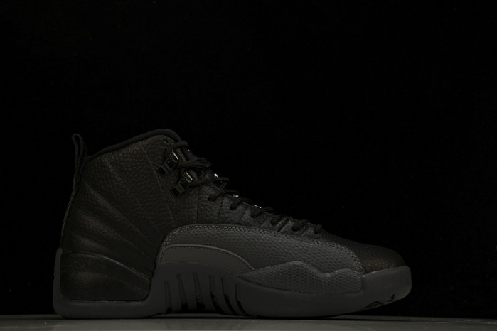 air jordan 12  ct8013-019